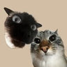 Cutout of two cats