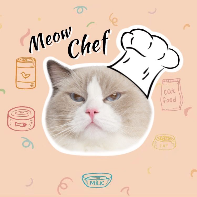 Cat wearing chef hat portrait